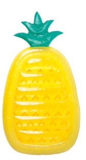 19. Kmart Inflatable Pineapple Float